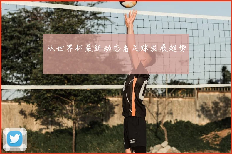从世界杯最新动态看足球发展趋势