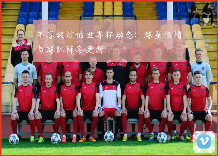 不容错过的世界杯动态:球星伤情与球队阵容更新
